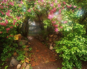 Garden Path and Gate